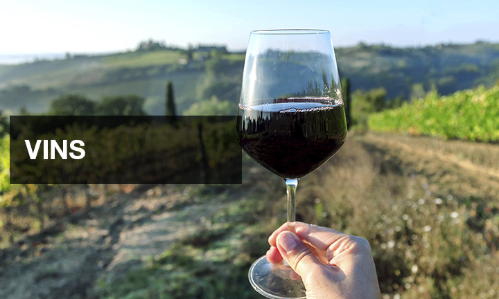 Vinhos